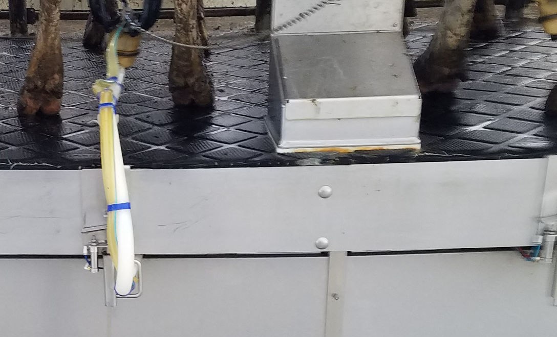Custom stainless steel side panels on a rotary dairy milking parlor fabricated for wash-down environments
